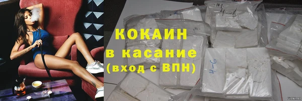 сатива Аркадак