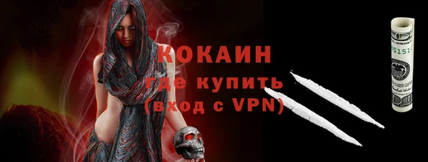 твердый Арсеньев