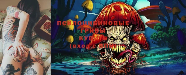 сатива Аркадак
