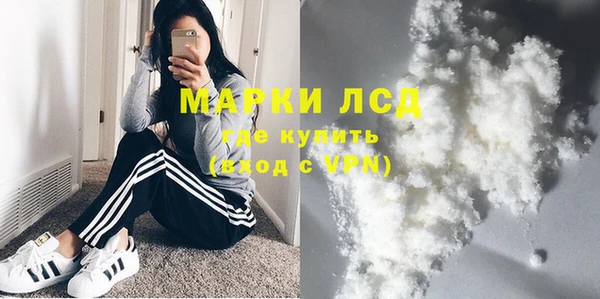твердый Арсеньев