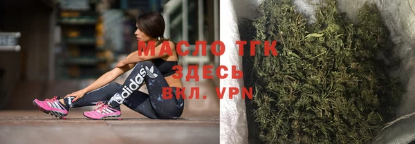 твердый Арсеньев